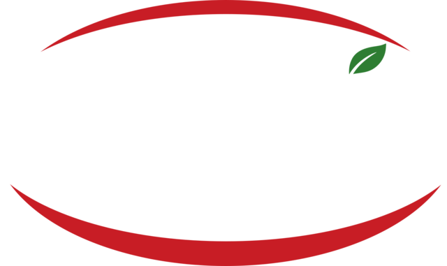 Thaís Alimentos
